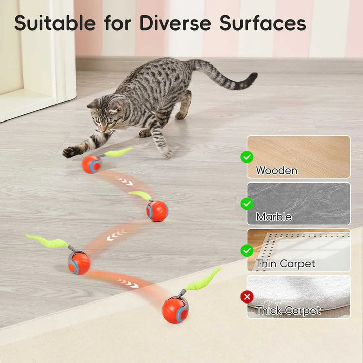 Interactive Cat Toys with Tail Design, 2 Pack Set for Indoor Cats