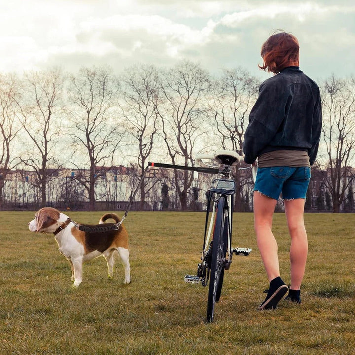 Bike Dog Tow Leash