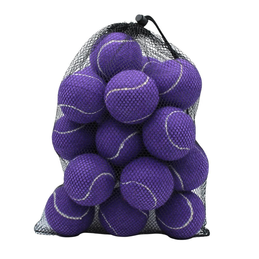 Standard Size Practice Tennis Balls, Set of 20 with Mesh Storage Bag