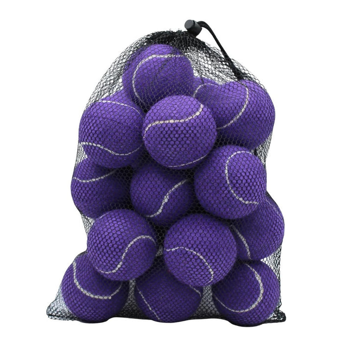 Standard Size Practice Tennis Balls, Set of 20 with Mesh Storage Bag