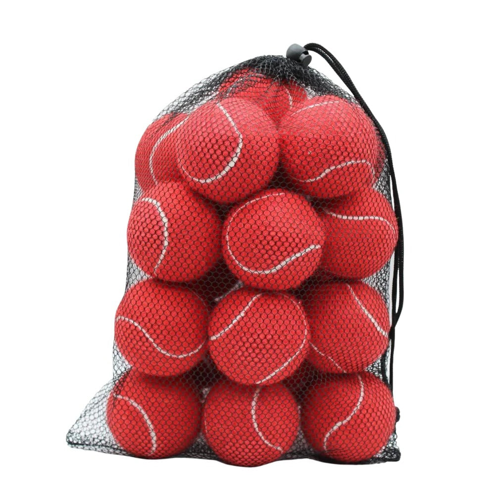 Standard Size Practice Tennis Balls, Set of 20 with Mesh Storage Bag