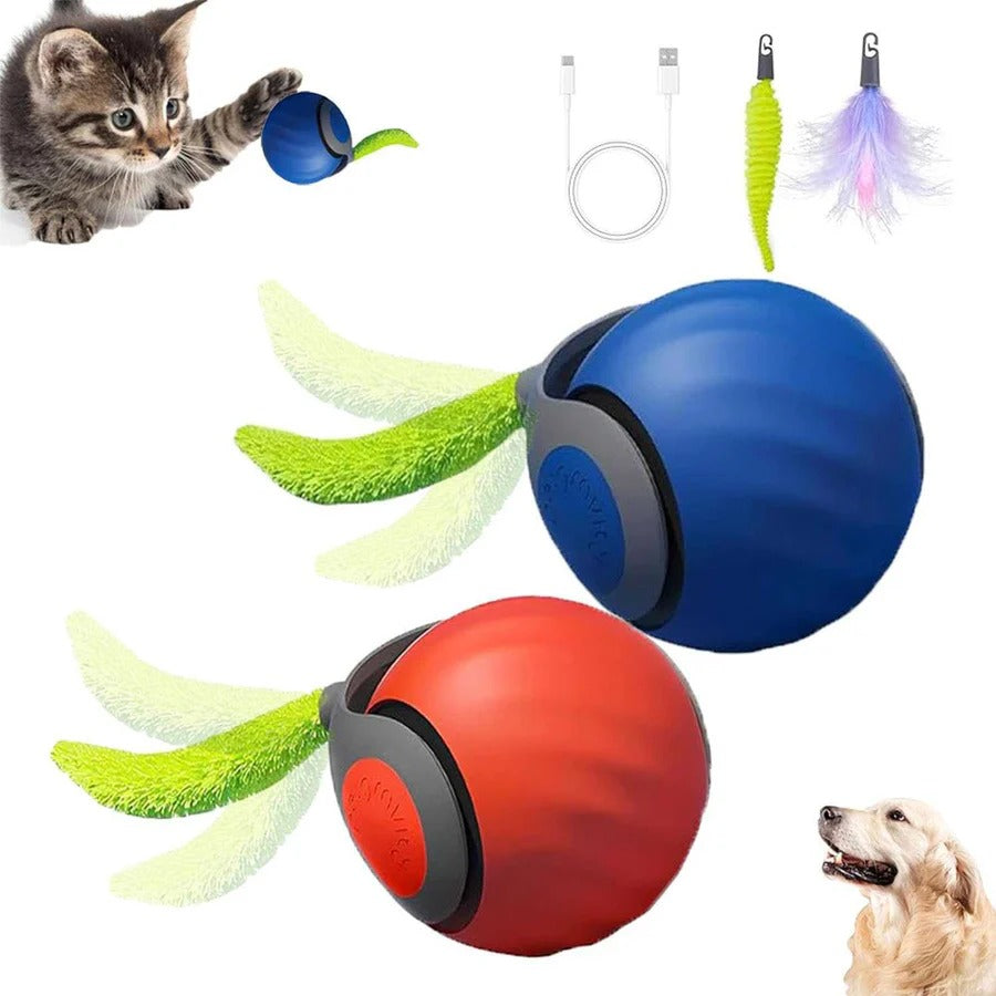 Interactive Cat Toys with Tail Design, 2 Pack Set for Indoor Cats