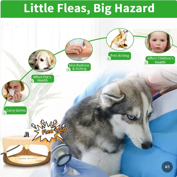 Indoor Flea Trap and Catcher with Sticky Pads
