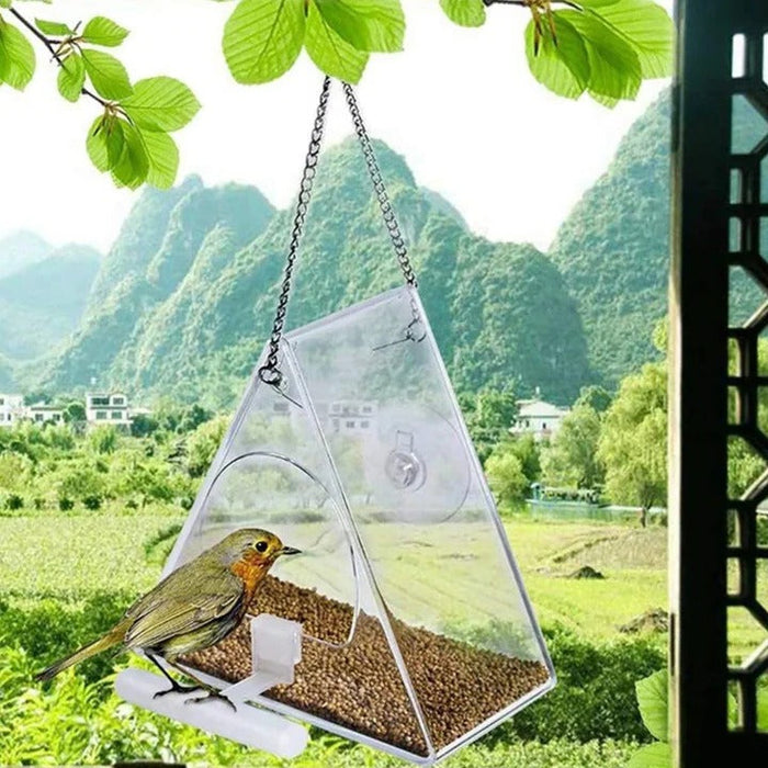 Clear Acrylic Hanging Bird Feeder