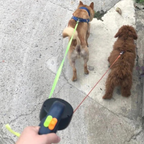 TangleFree Dual Dog Leash with LED Light and 360° Swivel