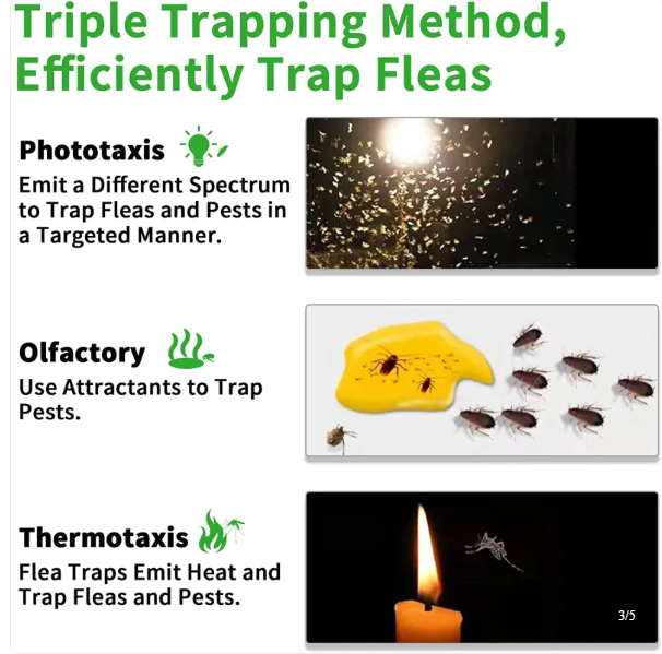 Indoor Flea Trap and Catcher with Sticky Pads