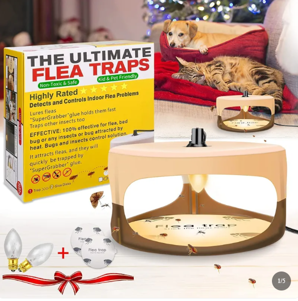 Indoor Flea Trap and Catcher with Sticky Pads