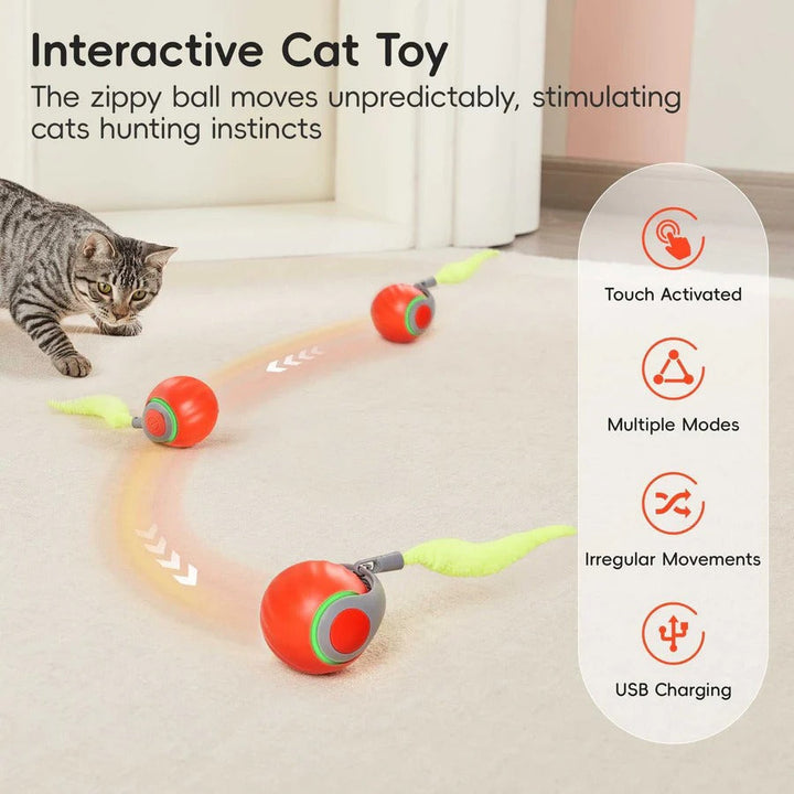 Interactive Cat Toys with Tail Design, 2 Pack Set for Indoor Cats