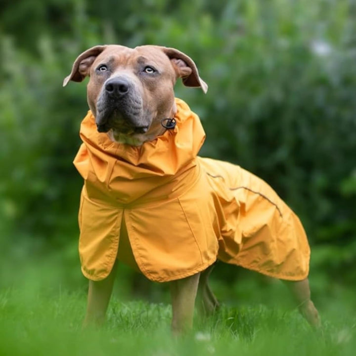 Dog Raincoat, Waterproof Rain Jacket, Reflective Full Body Coverage, Windproof and Breathable