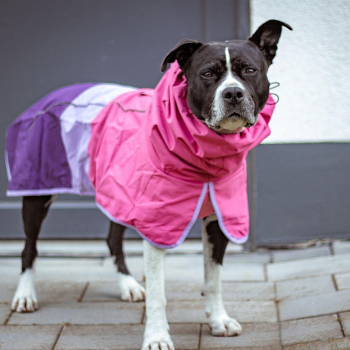 Dog Raincoat, Waterproof Rain Jacket, Reflective Full Body Coverage, Windproof and Breathable