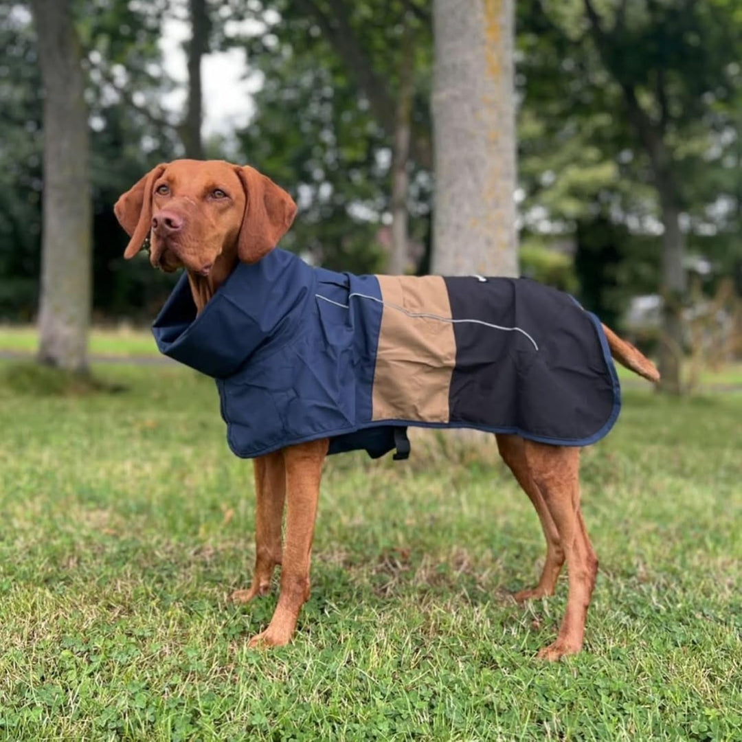 Dog Raincoat, Waterproof Rain Jacket, Reflective Full Body Coverage, Windproof and Breathable