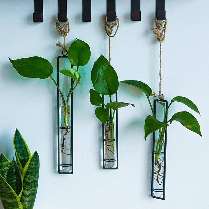 Wall Hanging Propagation Station, Glass Test Tube Planter with Metal Frame and Rope for Indoor Plant Cuttings
