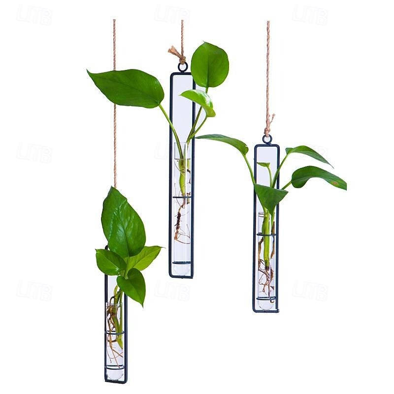 Wall Hanging Propagation Station, Glass Test Tube Planter with Metal Frame and Rope for Indoor Plant Cuttings