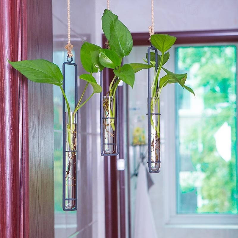 Wall Hanging Propagation Station, Glass Test Tube Planter with Metal Frame and Rope for Indoor Plant Cuttings