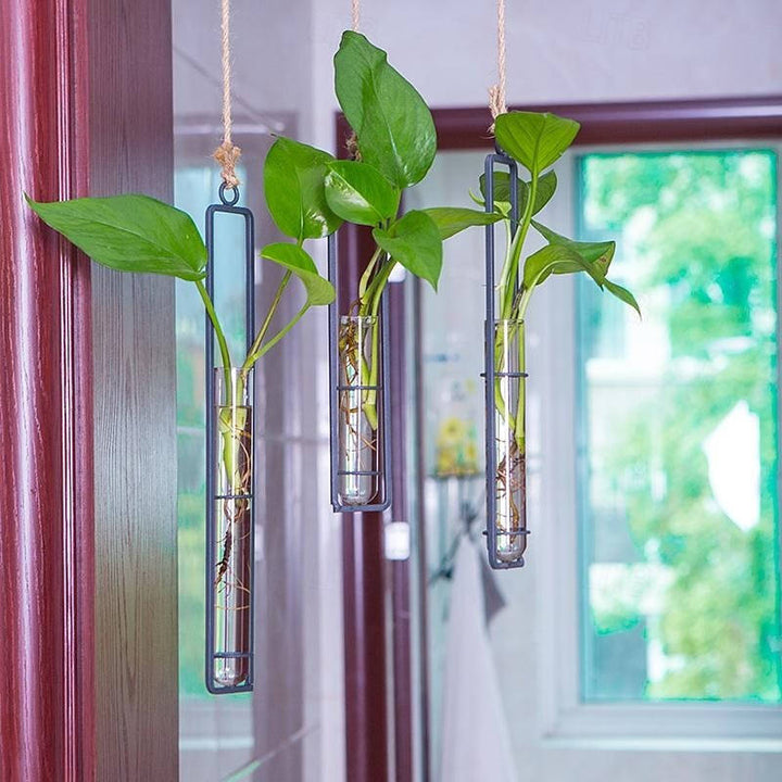 Wall Hanging Propagation Station, Glass Test Tube Planter with Metal Frame and Rope for Indoor Plant Cuttings