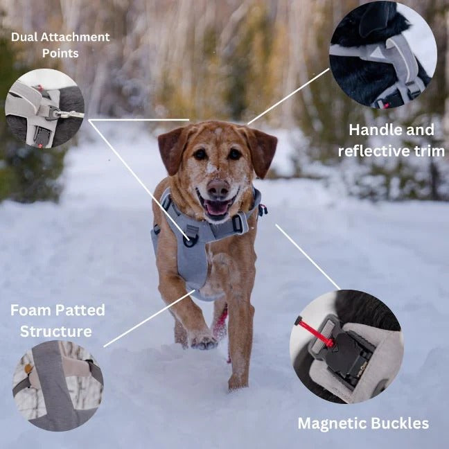 Magnetic Dog Harness, One Hand Clip, No Pull Design