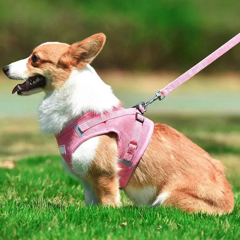 Reflective Corduroy Dog Harness and Leash Set, Breathable Chest Strap Walking Set for Small and Medium Pets