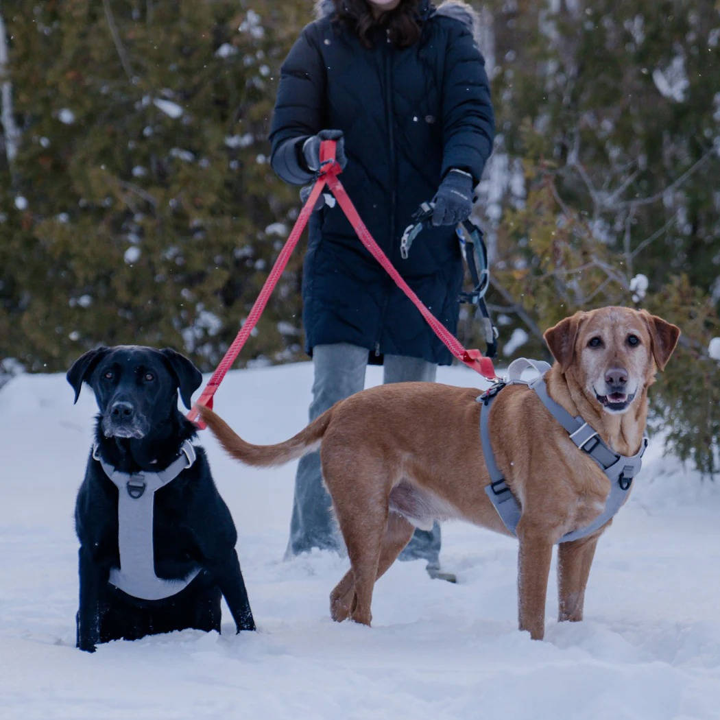 Magnetic Dog Harness, One Hand Clip, No Pull Design