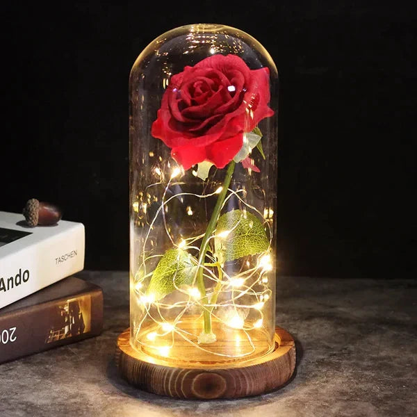 Preserved Rose with LED Dome Display and Battery Power