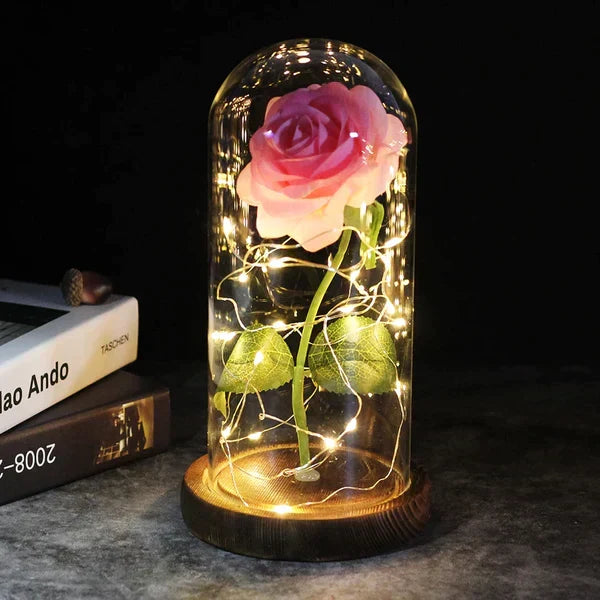 Preserved Rose with LED Dome Display and Battery Power