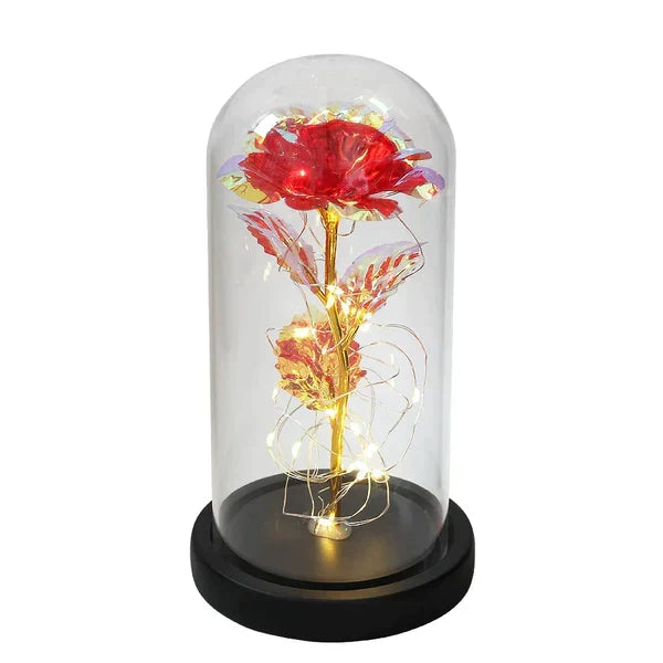 Preserved Rose with LED Dome Display and Battery Power