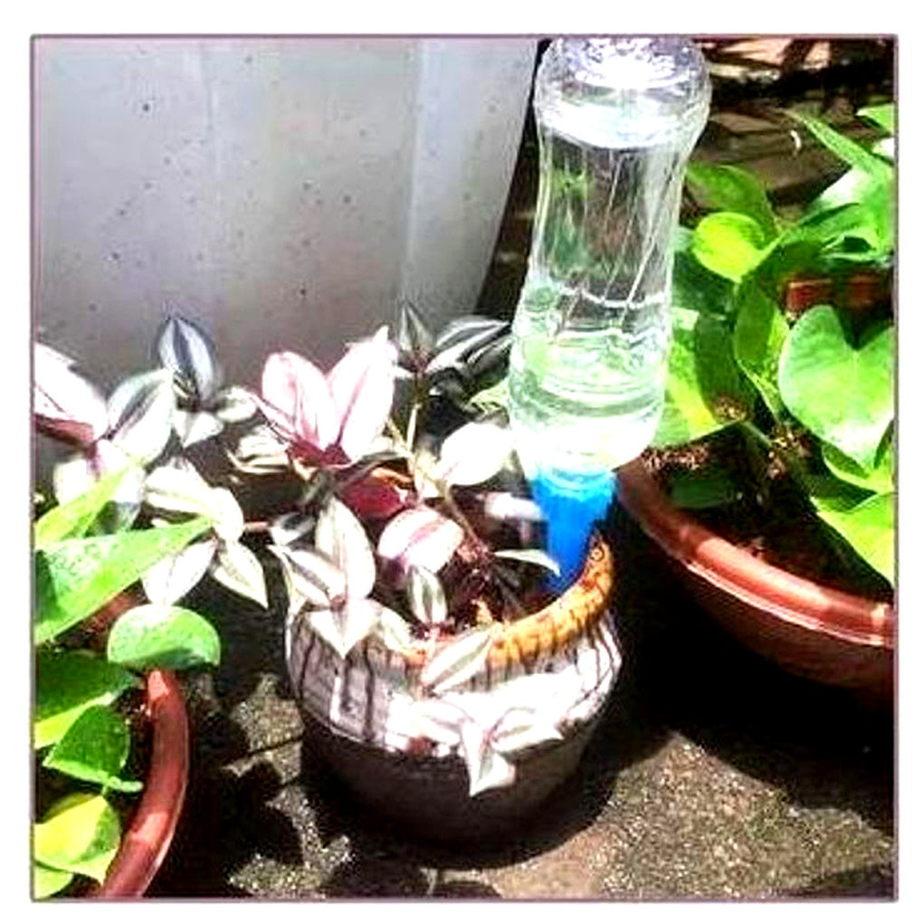 Plant Watering Spikes with Adjustable Flow Valve and Bottle Compatibility, 12-Pack