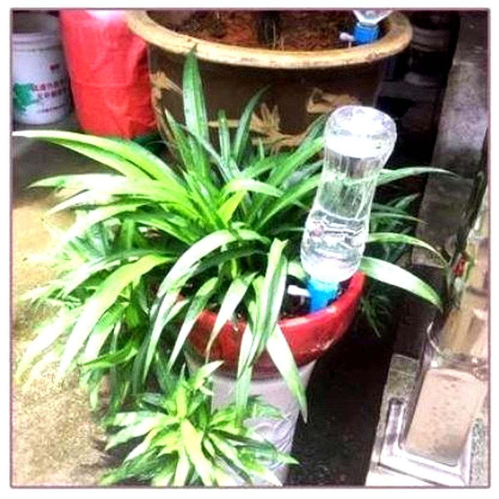 Plant Watering Spikes with Adjustable Flow Valve and Bottle Compatibility, 12-Pack