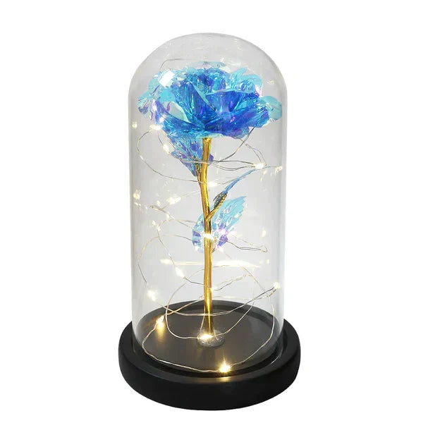 Preserved Rose with LED Dome Display and Battery Power