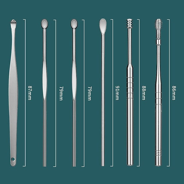 6 in 1 Stainless Steel Ear Cleaning Pick Set with Reusable Tools and Keychain Storage Case