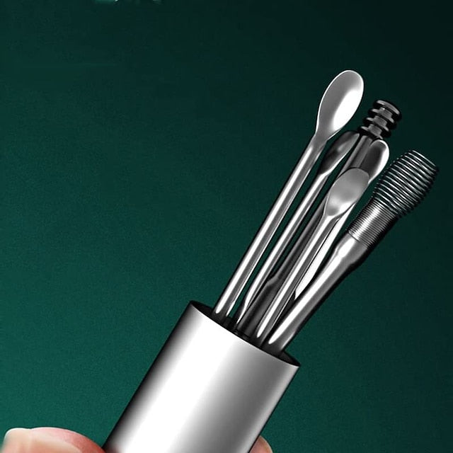 6 in 1 Stainless Steel Ear Cleaning Pick Set with Reusable Tools and Keychain Storage Case