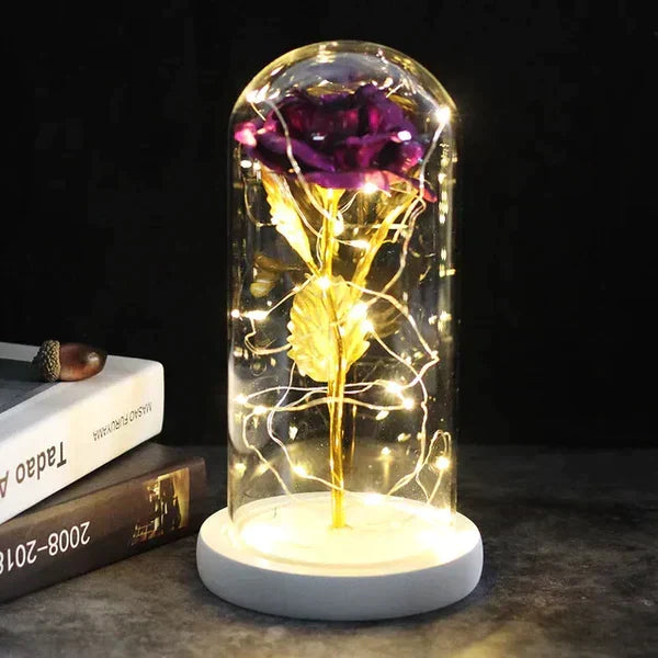 Preserved Rose with LED Dome Display and Battery Power