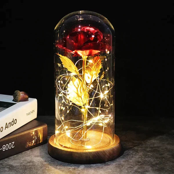 Preserved Rose with LED Dome Display and Battery Power
