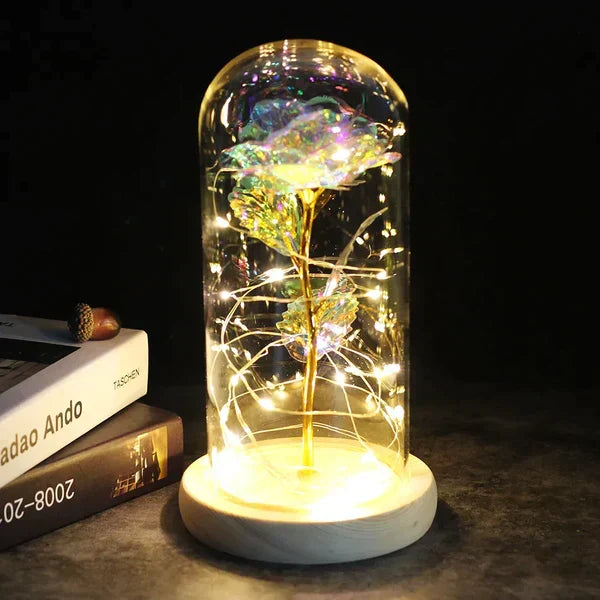 Preserved Rose with LED Dome Display and Battery Power