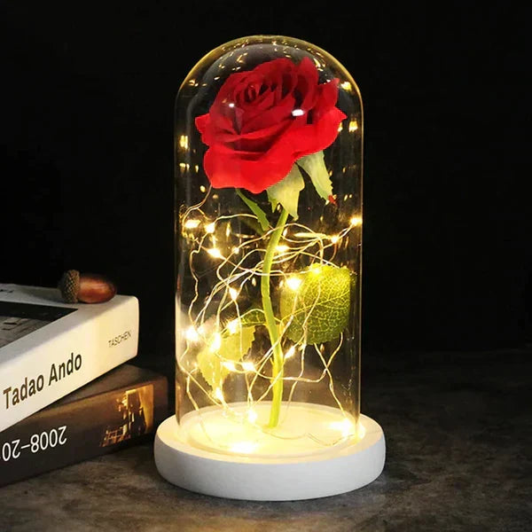 Preserved Rose with LED Dome Display and Battery Power