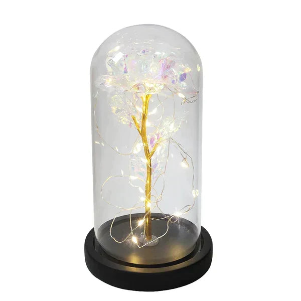 Preserved Rose with LED Dome Display and Battery Power