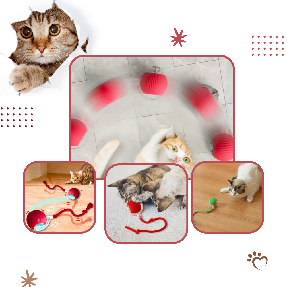 Interactive Cat Ball Toy with Motion Sensors and Three Speed Settings