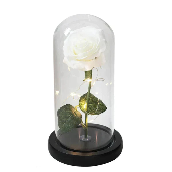 Preserved Rose with LED Dome Display and Battery Power