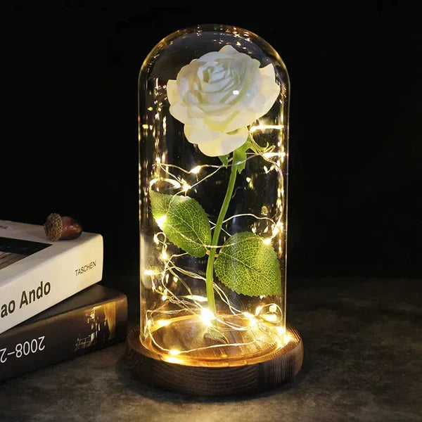 Preserved Rose with LED Dome Display and Battery Power