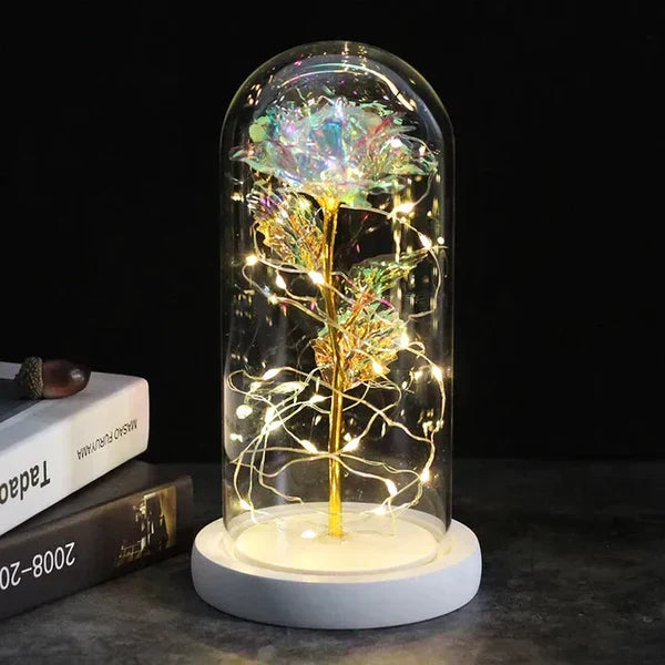 Preserved Rose with LED Dome Display and Battery Power