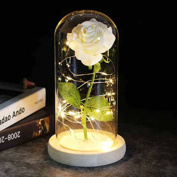 Preserved Rose with LED Dome Display and Battery Power
