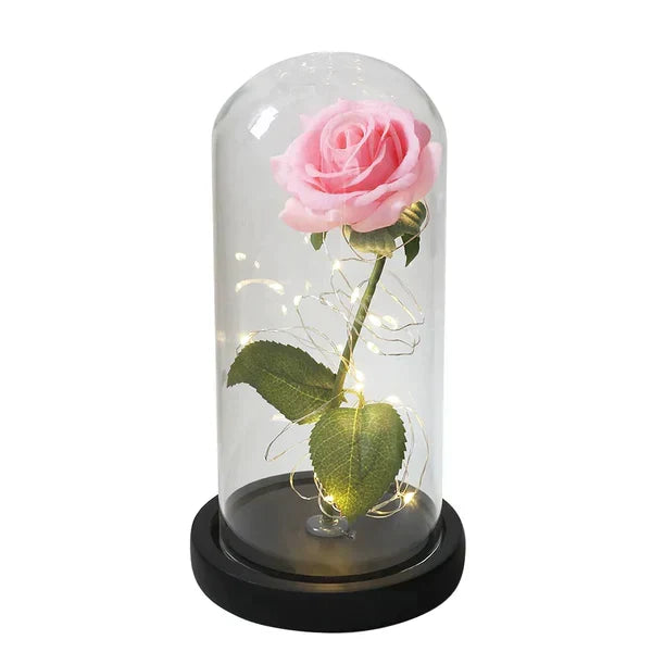 Preserved Rose with LED Dome Display and Battery Power